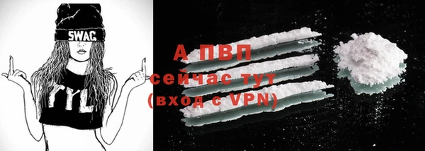 прущие крисы Белокуриха