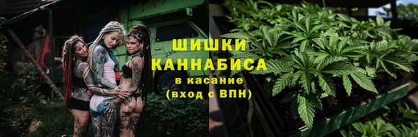 дживик Белоозёрский