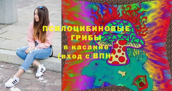 стаф Беломорск