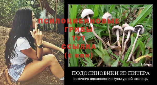 прущие крисы Белокуриха