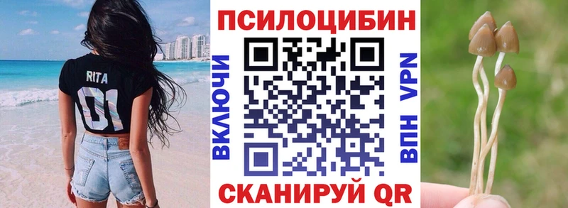 Купить где  Елизово  Галлюциногенные грибы GOLDEN TEACHER 